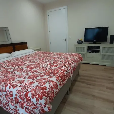 홈스테이 Guggenheim Center